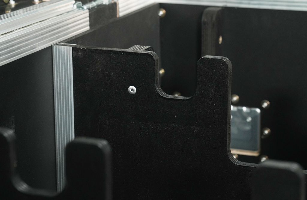 ShowCase CM Dual 500kg D8+ Hoist Case