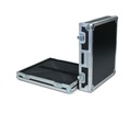 ShowCase Hedgehog 4/4X Case