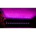 CHAUVET COLORband Q4IP