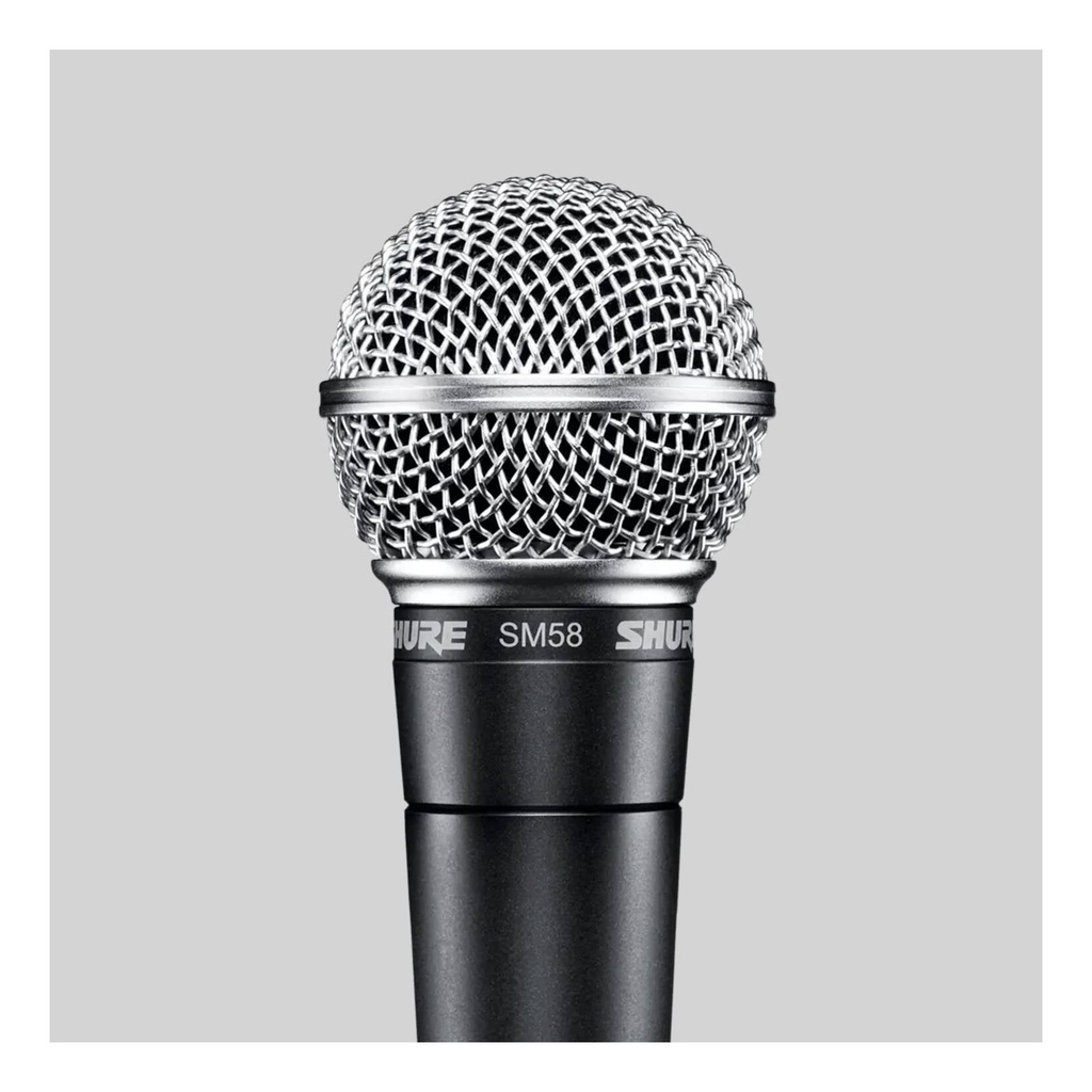 SHURE SM58 Mic