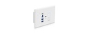Blustream Hdbaset Usb 3.2 Extender Wall Plate Eu - Host