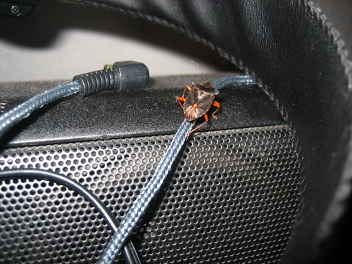 Cables equipment